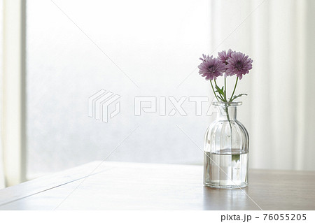 窓辺に置かれた一花瓶　薄紫のスプレー菊 76055205