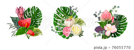 Set of luxury vector bouquets isolated on a white background 76055770