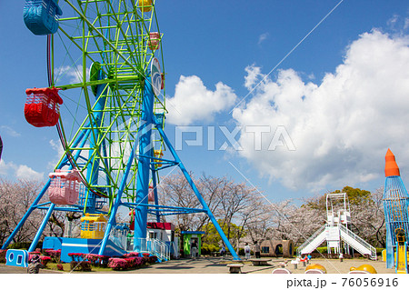 鹿児島県霧島市の城山公園 桜と観覧車 鹿児島県霧島市の城山公園 桜と観覧車 76056916