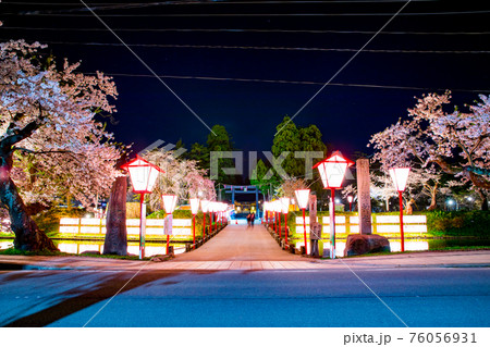 戸澤神社の夜桜 戸澤神社の夜桜 76056931