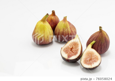 白バックのイチジク 白バックのイチジク 76058024