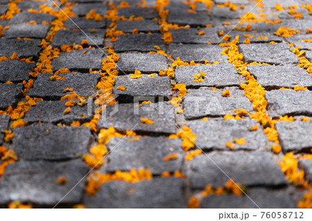Paving stones spangled with yellow flowers (Selective focus) Paving stones spangled with yellow flowers (Selective focus) 76058712