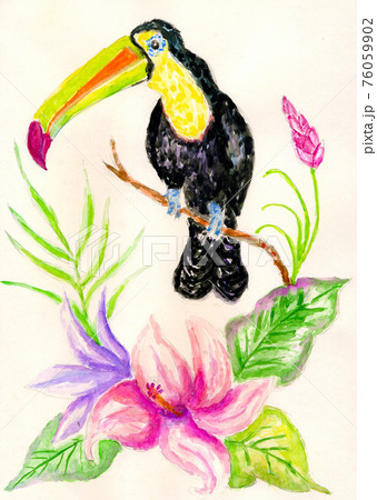 Toucan and exotic plants art Toucan and exotic plants art 76059902