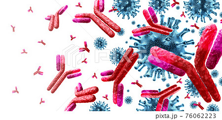 Antibody Immunology Antibody Immunology 76062223