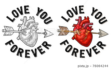 Arrow pierced the heart. Love you forever lettering. Arrow pierced the heart. Love you forever lettering. 76064244