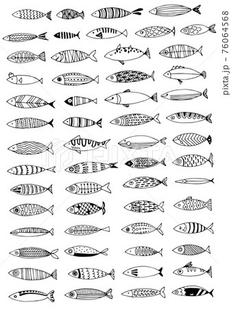 Many different stylized fish on a white background 76064568
