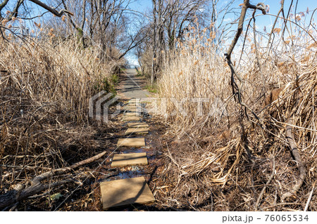 Pat Dolan Trail at Flushing Meadows Park in Queens, New York Pat Dolan Trail at Flushing Meadows Park in Queens, New York 76065534