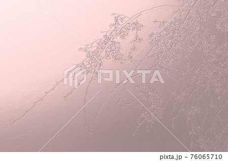 3d加工した枝垂れ桜の枝のあるメタリックピンクの背景のイラスト素材