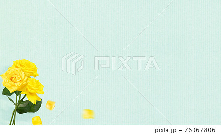 黄色いバラとブルーの背景 - 複数のバリエーションがあります 黄色いバラとブルーの背景 - 複数のバリエーションがあります 76067806