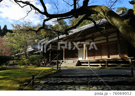 コロナ禍の静かな苔寺 コロナ禍の静かな苔寺 76069052
