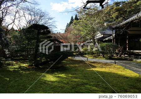 コロナ禍の静かな苔寺 コロナ禍の静かな苔寺 76069053
