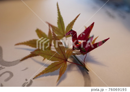 伝統的な庭を眺めながら食事を愉しむひととき 76069193