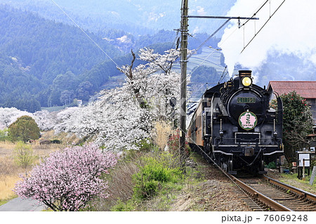 春の大井川鉄道SL 76069248