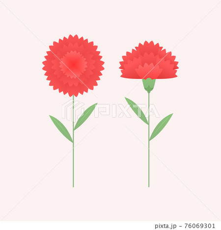 植物 カーネーション 季節 76069301