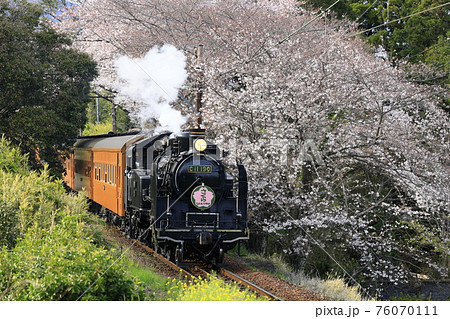 春の大井川鉄道SL 76070111