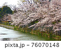 川沿いの満開の桜 76070148