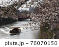 川と船と満開の桜 76070150