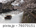 川と船と満開の桜 76070151