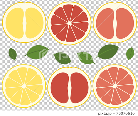 grapefruit  76070610