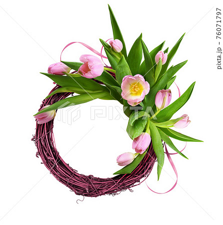 Pink tulip flowers and satin ribbon in a floral arrangement with rattan round frame isolated on white 76071797