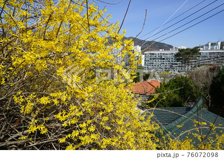 石 スポット 岩 76072098