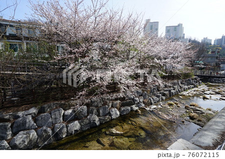 石 スポット 岩 76072115