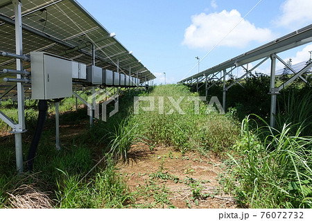 太陽光発電所　雑草　影響　影 76072732