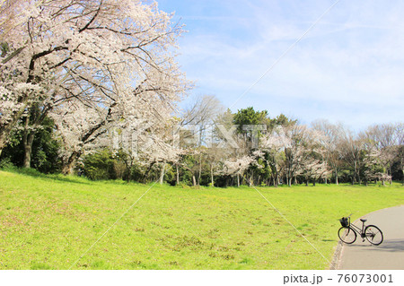 大阪府堺市 春の大泉緑地 76073001