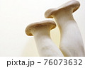 エリンギ 76073632