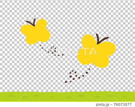 かわいい飛ぶちょうちょと芝生 手書きイラストのイラスト素材