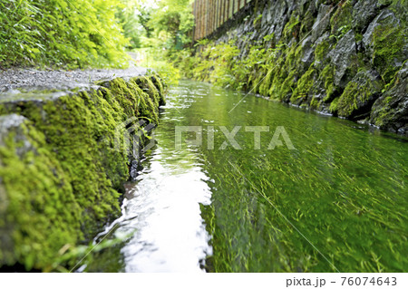 田舎の小川 76074643