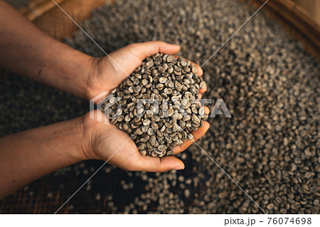 Hands are sorting quality coffee beans Hands are sorting quality coffee beans 76074698