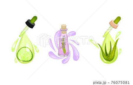 Cosmetic Oil with Aloe Vera and Lavender in Jar with Drops on Pipette Vector Set 76075081