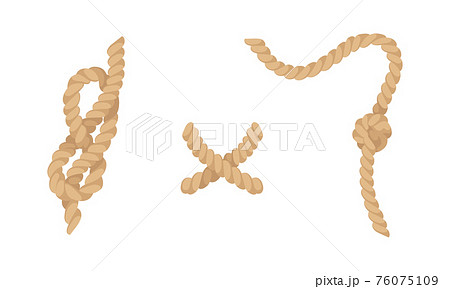 Knot as Complication of Cordage with Bend and Loop Vector Set 76075109