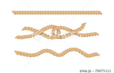 Knot as Complication of Cordage with Bend and Loop Vector Set Knot as Complication of Cordage with Bend and Loop Vector Set 76075111