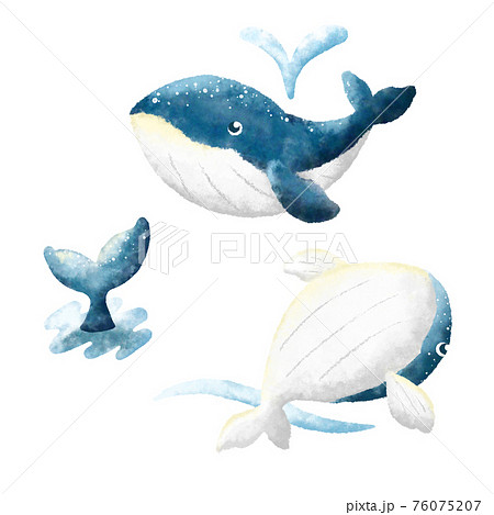 可愛いクジラの水彩画風イラスト3パターンのイラスト素材