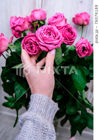 Holiday concept, bouquet of roses for a birthday, valentines mothers womans day, bouquet of flowers in the morning. Peonies with female hand. Delicate 76076189