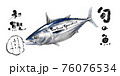 鰹_D手描き_文字あり 鰹_D手描き_文字あり 76076534