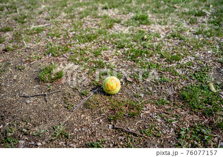 テニスボールぽつん 76077157