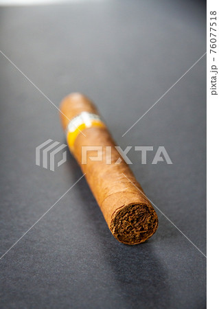 Brown cuban cigar isolated on grey 76077518