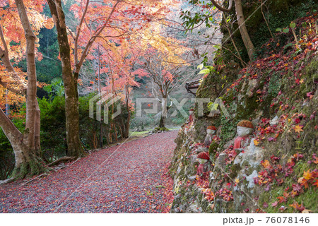 明石寺のお地蔵さんと紅葉 明石寺のお地蔵さんと紅葉 76078146