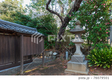 東京、世田谷散歩、等々力渓谷公園　等々力不動尊明王院 76079501