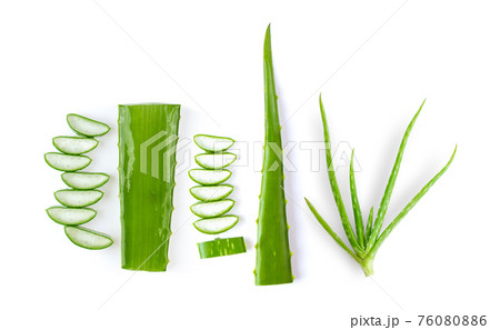 aloe vera isolated on white background aloe vera isolated on white background 76080886