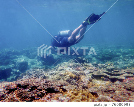 Under the water, the diver swims in the thickness of the sea water Under the water, the diver swims in the thickness of the sea water 76080993