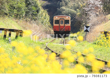 小湊鐵道「菜の花咲くローカル風景」 小湊鐵道「菜の花咲くローカル風景」 76081173