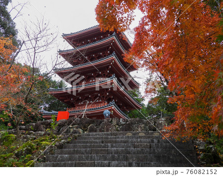 竹林寺 五重塔と紅葉の写真素材