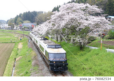 満開の桜とD&S列車「あそぼーい」 76082534