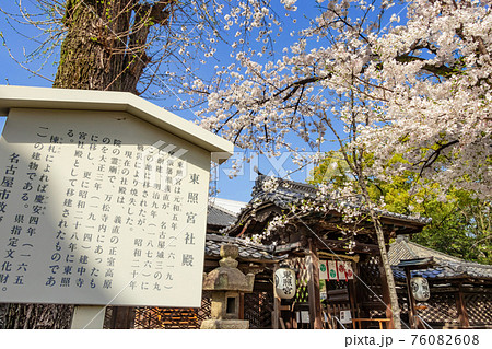名古屋東照宮、満開の桜〈愛知県名古屋市〉 名古屋東照宮、満開の桜〈愛知県名古屋市〉 76082608