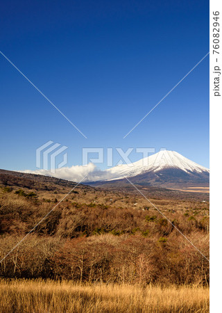 晴れた空と富士山と森林 76082946