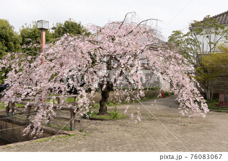 浦和くらしの博物館民家園 76083067